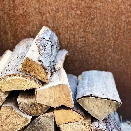 Werderapartment, Und Dz